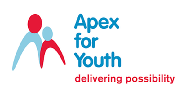 Apex for Youth jobs